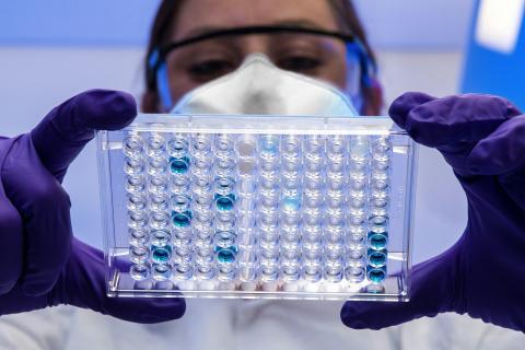 Die Rotation in Medtech-Aktien hat begonnen Die Rotation in Medtech-Aktien hat begonnen