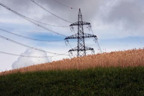 Elektrifizierung und KI treiben Europas Versorger auf Rekordhoch