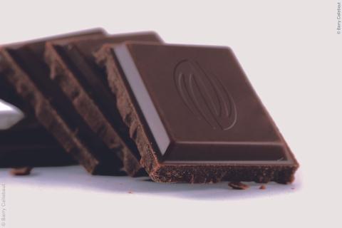 Barry Callebaut ist eine Versuchung wert