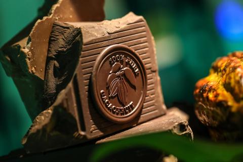 Schokoladenkonzern im Umbruch – wohin steuert Barry Callebaut?