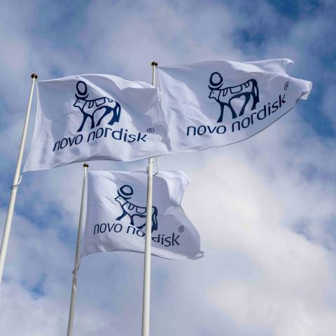 Vom Börsenstar zum Sorgenkind – findet Novo Nordisk zurück in die Spur?