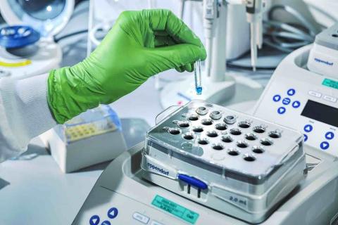 2026 könnte endlich Bewegung in die Aktien von BioNTech kommen