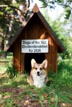 Dividendenaktien für 2026