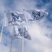 Vom Börsenstar zum Sorgenkind – findet Novo Nordisk zurück in die Spur?